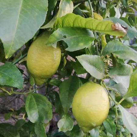 Relais Sul Siroto 3* Castelnuovo Cilento